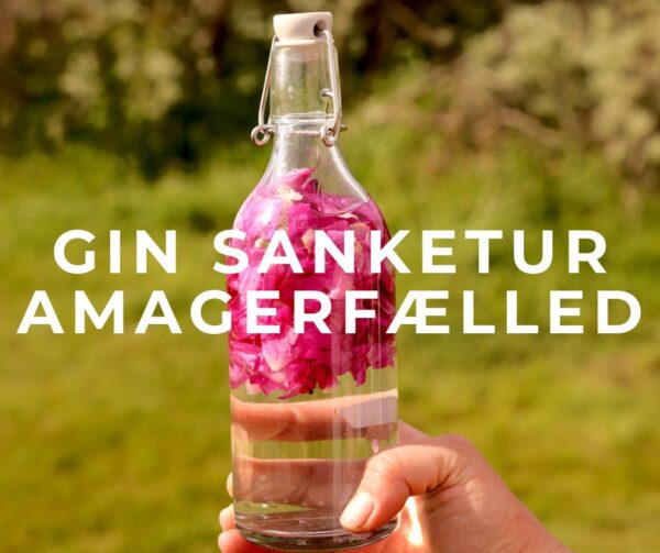 gin sanketur vile blomster urter kronblade flaske cold compound gin