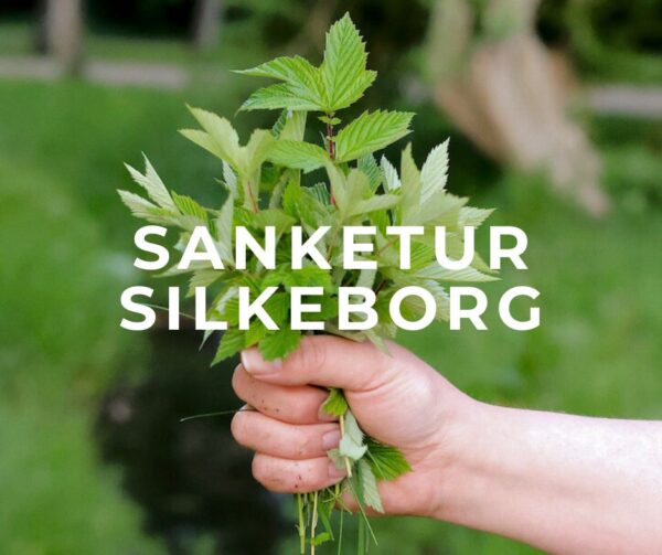 sanketur silkeborg jylland