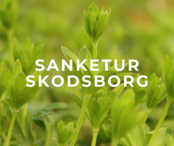 sanketur skodsborg skovmærke