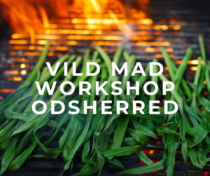 vild mad bål workshop