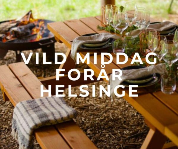 vild middag i en bålhytte opdækket langborde bål middag natur udendørs