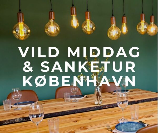 vild middag københavn bål skov sanketur langbord