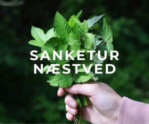 sanketur næstved sydsjælland mose sø eng skov urter vild mad