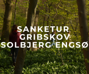 sanketur Gribskov, Solbjerg Engsø, Helsinge, Hillerød