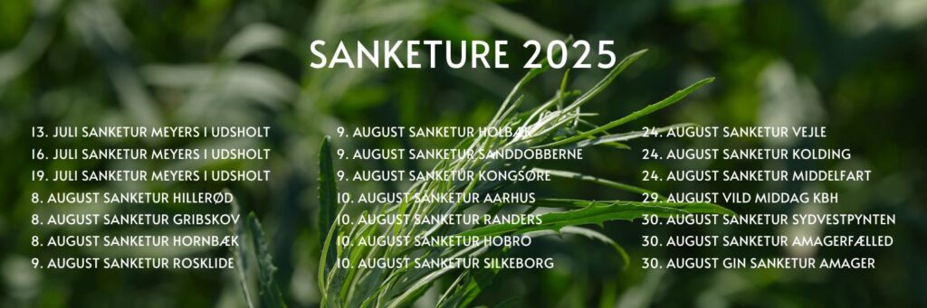 sanketure banner sommer 2025 sjælland fyn jylland