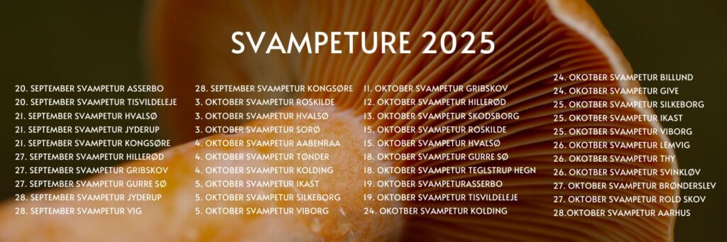 sanketure svampetur banner 2025 juli