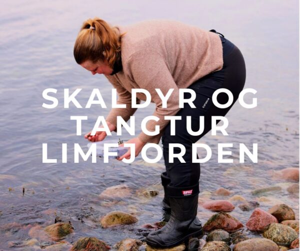tang og skaldyr tur med sanketure havet stranden og kystens vilde mad, muslinger og tang