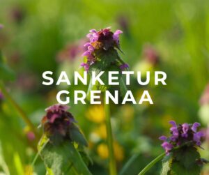sanketur grenaa jylland