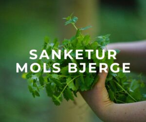 sanketur mols bjerge jylland