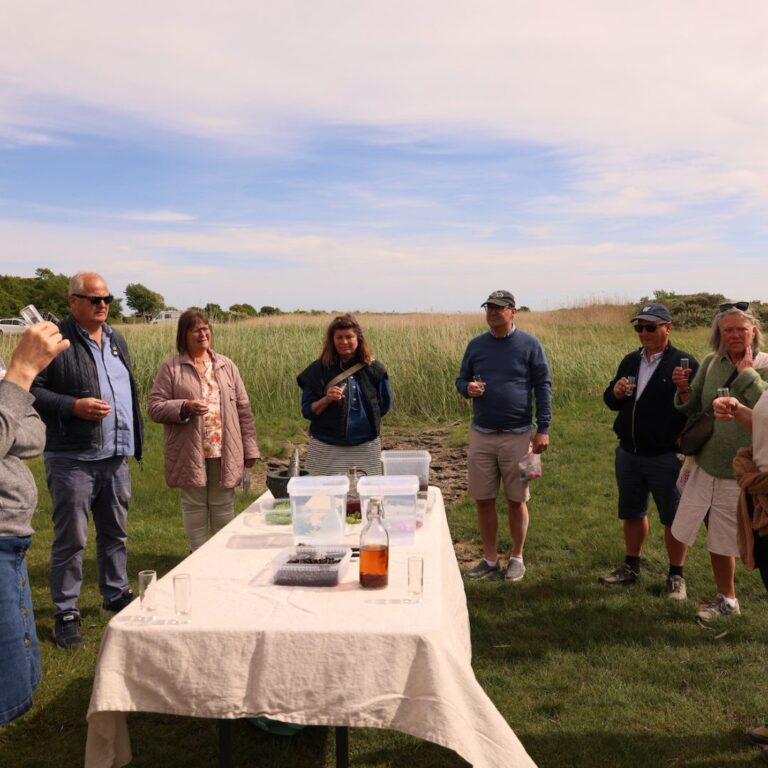 Gin-snapse tur Oplevelse