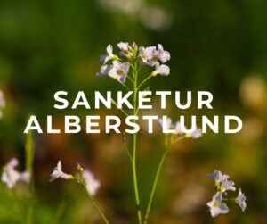 sanketure albertslund vestskoven sjælland ejby brøndby vestegnen