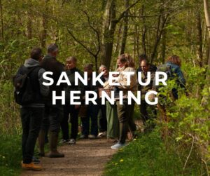 Sanketur Herning