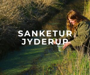 forside jyderup skarre sø naturpark åmosen