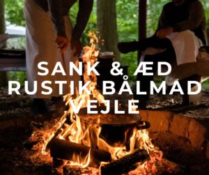 sank og æd vejle bålmad rov vilde urter middag rustik hygge bålhytte vildt kød