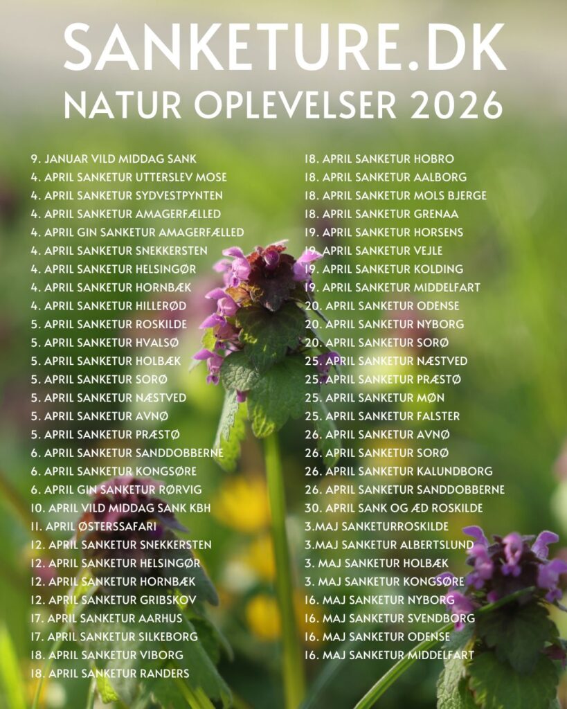 sankture oversigt 2026 april maj natur oplevelser