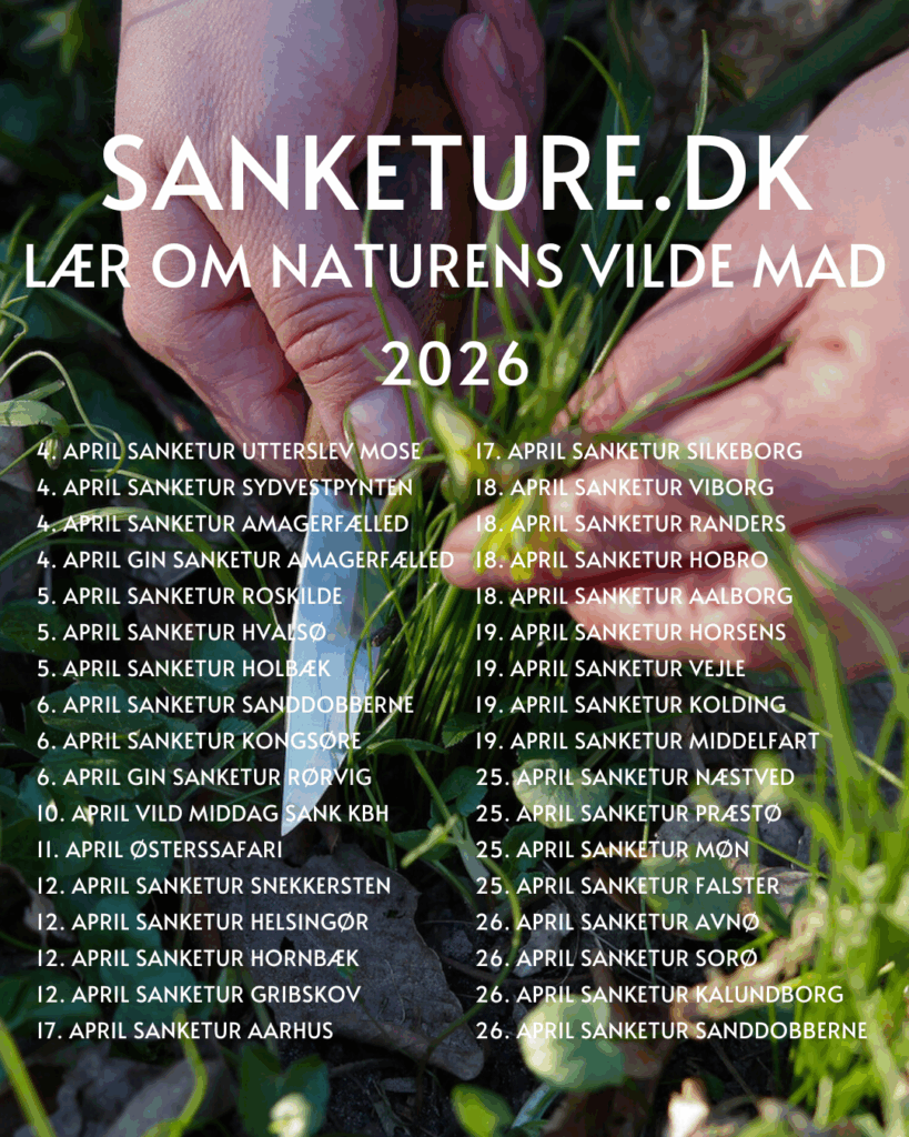 sanketure oversigt sjælland jylland fyn 2026 nytår jul julegave