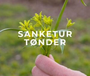 sanketur tønder sønderjylland jylland