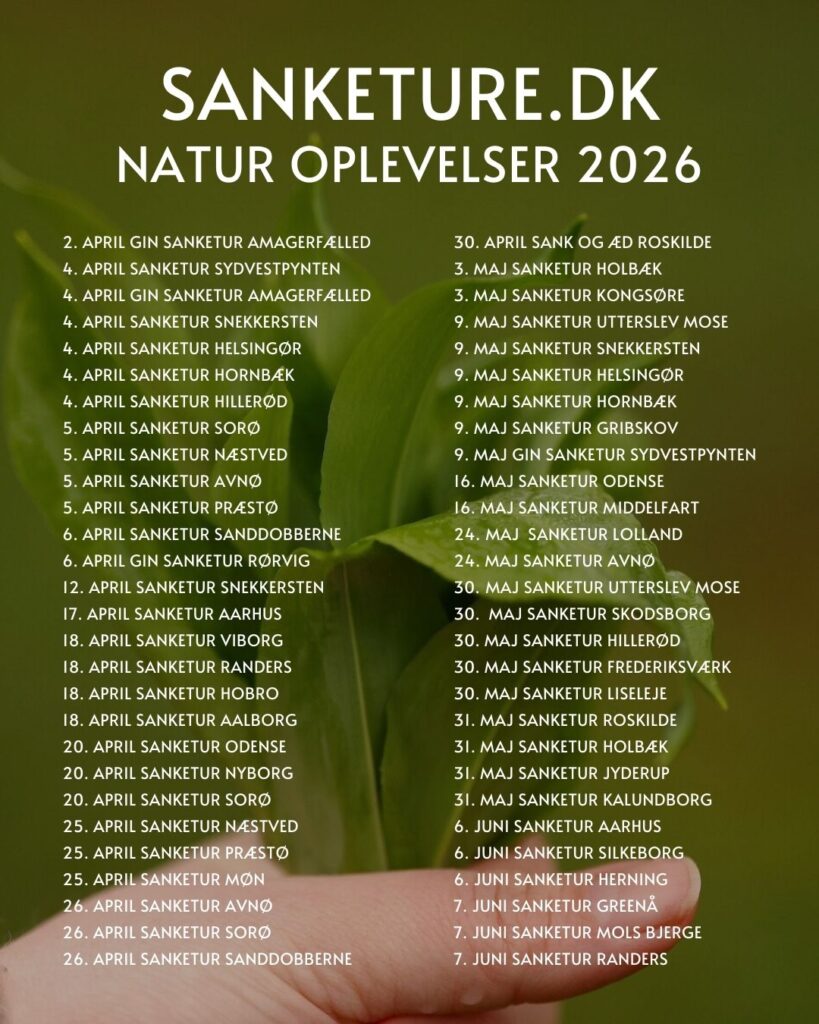 sanketure oversigt 2026 april maj juni sjælland jylland fyn